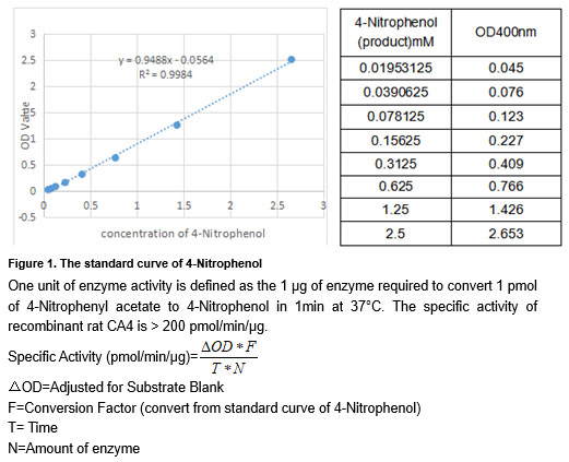 product-image-AAA161902_BIOACTIVITY2.jpg