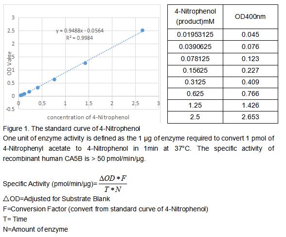product-image-AAA161903_BIOACTIVITY13.jpg