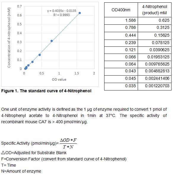 product-image-AAA161904_BIOACTIVITY13.jpg