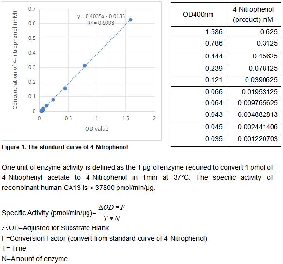 product-image-AAA161906_BIOACTIVITY13.jpg
