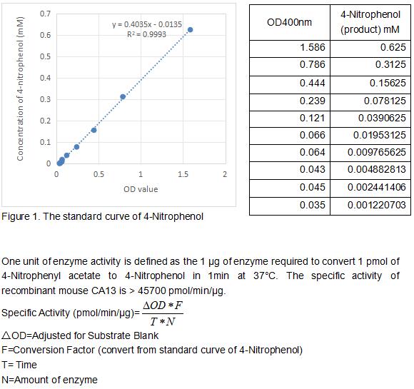 product-image-AAA161907_BIOACTIVITY13.jpg