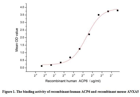 product-image-AAA161908_BIOACTIVITY13.jpg