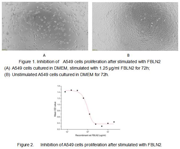 product-image-AAA161910_BIOACTIVITY13.jpg