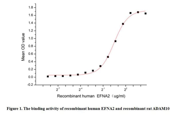 product-image-AAA161915_BIOACTIVITY13.jpg