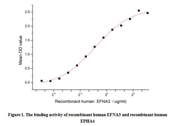 product-image-AAA161916_BIOACTIVITY13.jpg