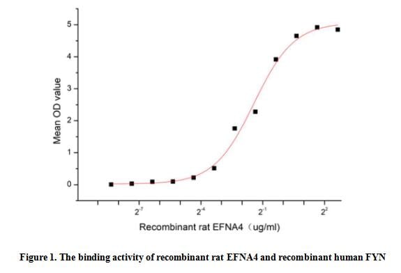 product-image-AAA161918_BIOACTIVITY13.jpg