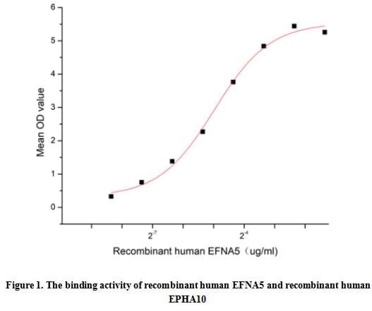 product-image-AAA161919_BIOACTIVITY13.jpg