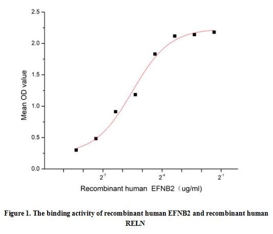 product-image-AAA161920_BIOACTIVITY13.jpg