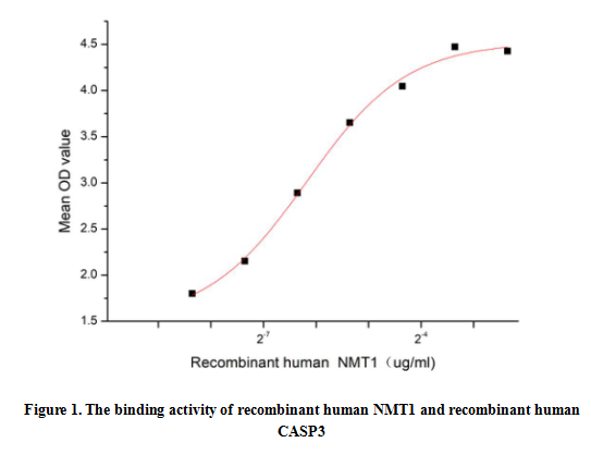 product-image-AAA161922_BIOACTIVITY13.jpg