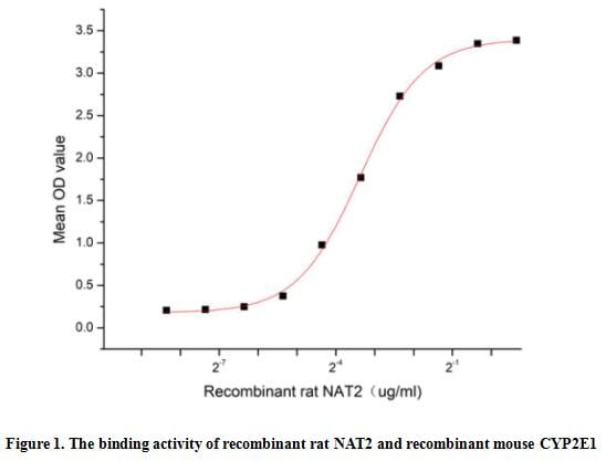 product-image-AAA161924_BIOACTIVITY13.jpg