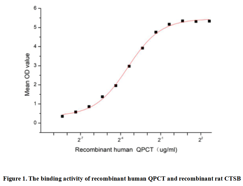 product-image-AAA161925_BIOACTIVITY13.jpg