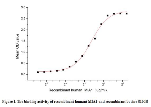 product-image-AAA161926_BIOACTIVITY13.jpg