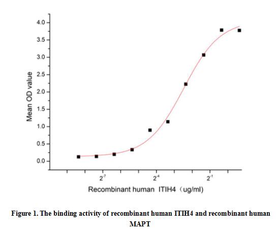 product-image-AAA161928_BIOACTIVITY13.jpg