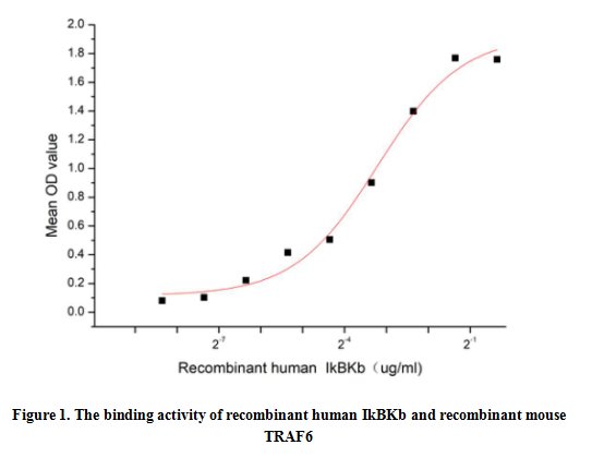product-image-AAA161931_BIOACTIVITY13.jpg