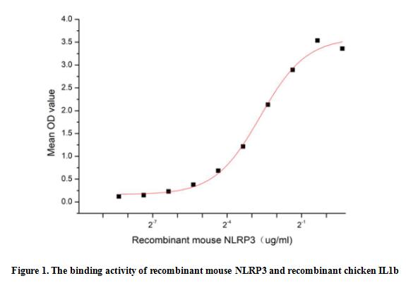 product-image-AAA161932_BIOACTIVITY13.jpg