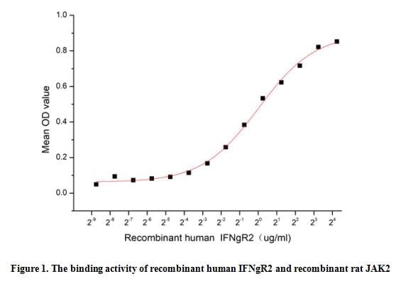 product-image-AAA161936_BIOACTIVITY13.jpg