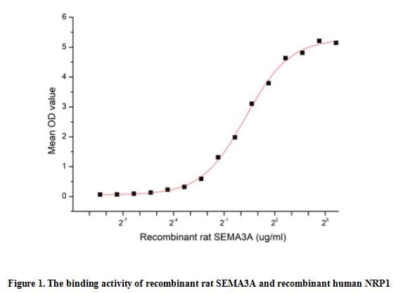 product-image-AAA161937_BIOACTIVITY13.jpg
