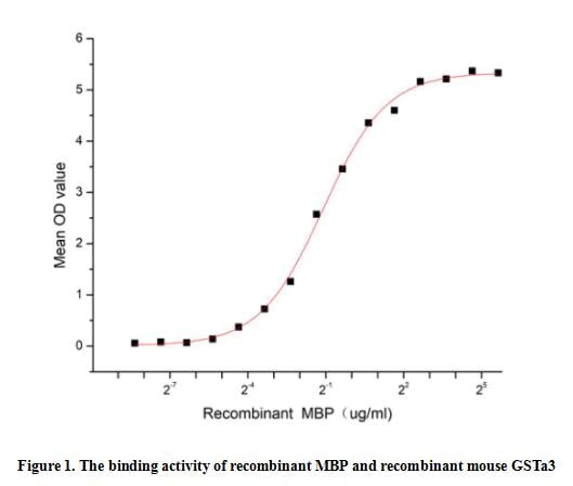 product-image-AAA161942_BIOACTIVITY13.jpg