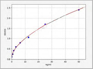 product-image-AAA17665_SC.jpg