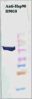 product-image-AAA17785_WB7.png