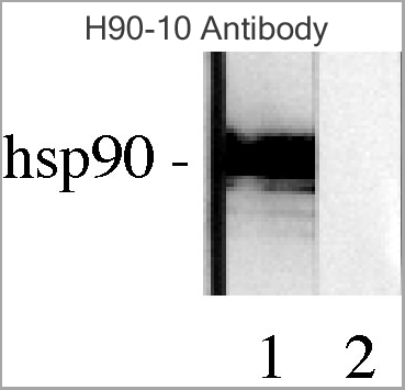 product-image-AAA17785_WB8.png
