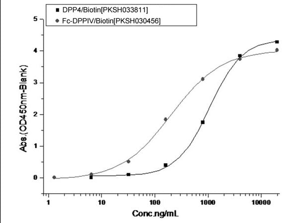product-image-AAA177990_BIOACTIVITY13.jpg