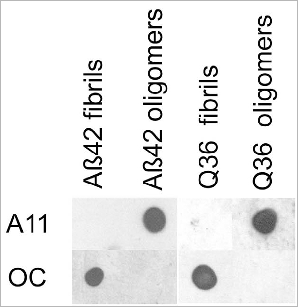 product-image-AAA17799_DB5.png
