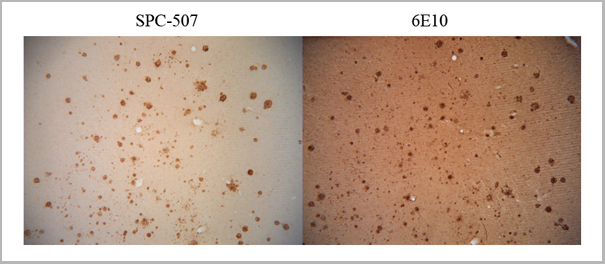product-image-AAA17799_IHC4.png