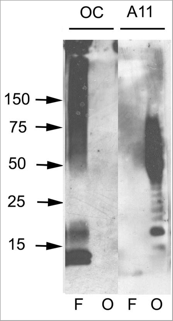 product-image-AAA17799_WB3.png