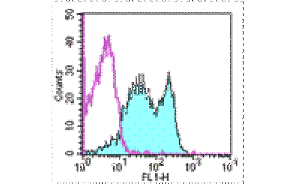 product-image-AAA17929_FCM.jpg