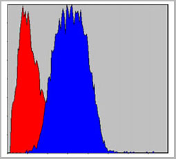 product-image-AAA17955_FCM.jpg