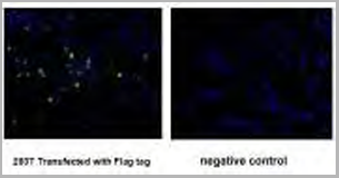 product-image-AAA18845_IF9.png