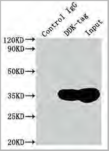 product-image-AAA18845_IP7.png