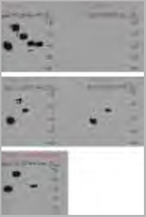 product-image-AAA18845_WB6.png