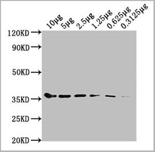 product-image-AAA18852_WB2.jpg