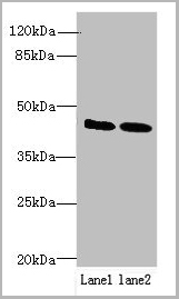 product-image-AAA18874_WB.jpg