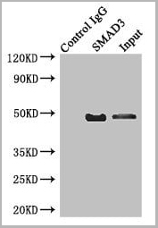 product-image-AAA18875_IP4.jpg