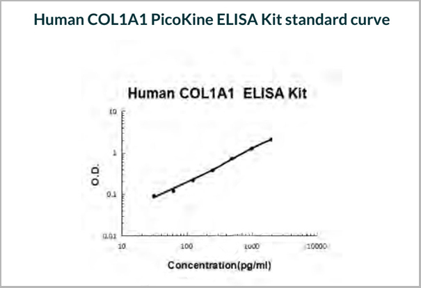 product-image-AAA19181_SC.jpg