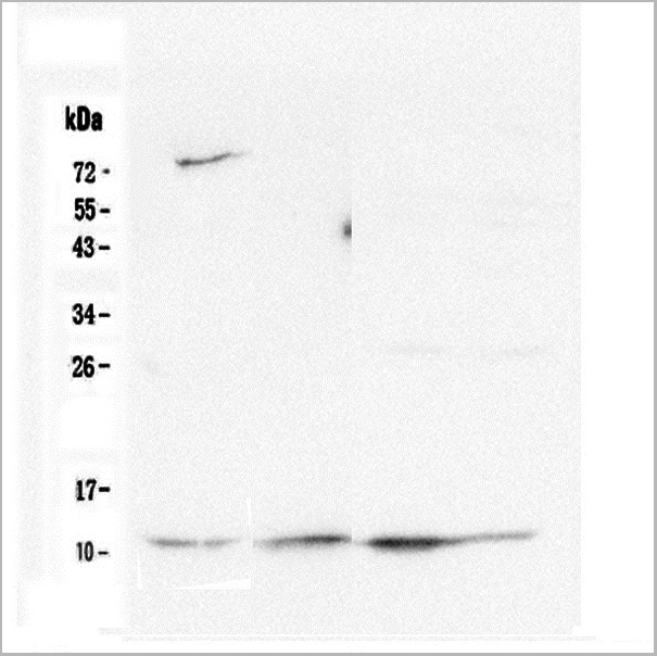 product-image-AAA19187_WB7.jpg