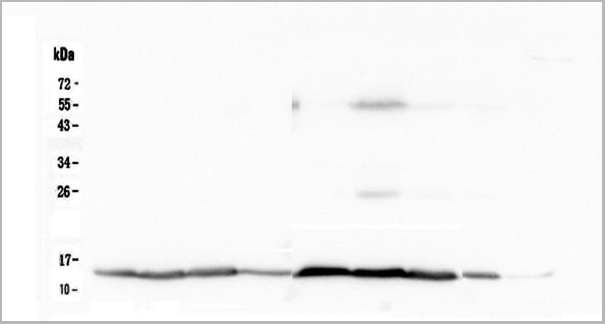 product-image-AAA19187_WB8.jpg
