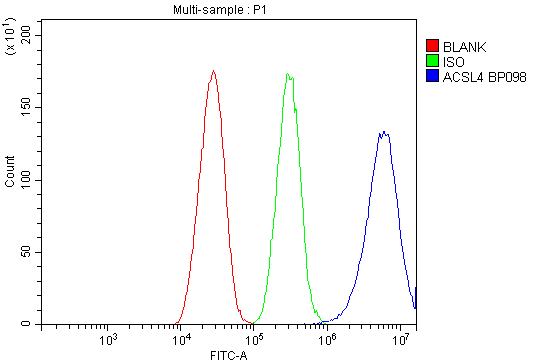 product-image-AAA19206_FCM.jpg