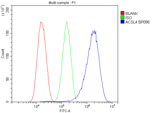 product-image-AAA19206_FCM2.jpg