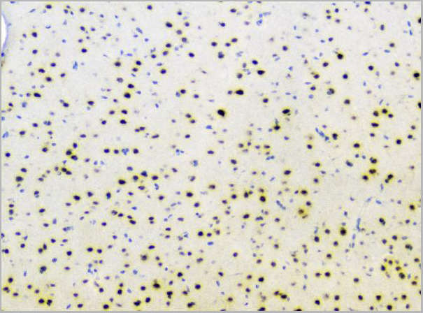 product-image-AAA19210_IHC7.jpg