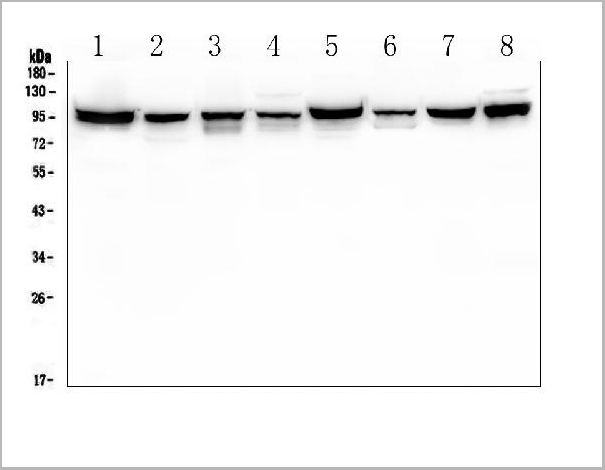 product-image-AAA19212_WB9.jpg