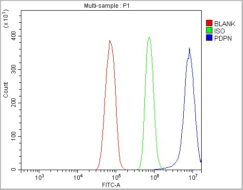 product-image-AAA19233_FCM5.jpg