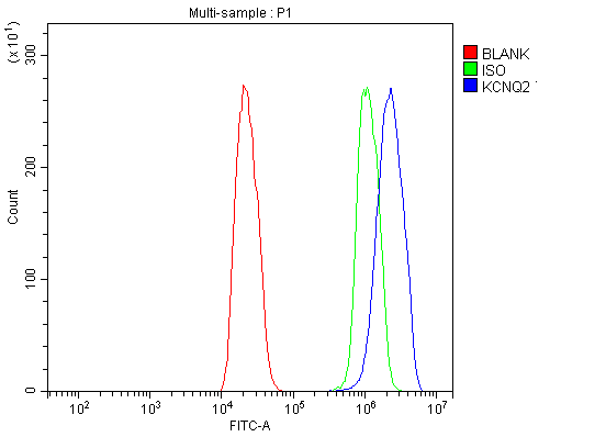 product-image-AAA19238_FCM7.png