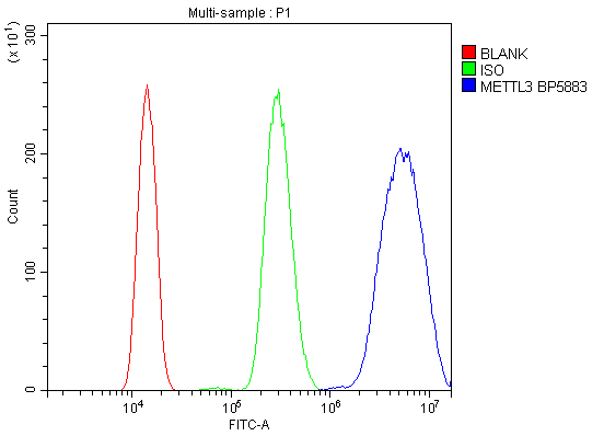 product-image-AAA19247_FCM6.png