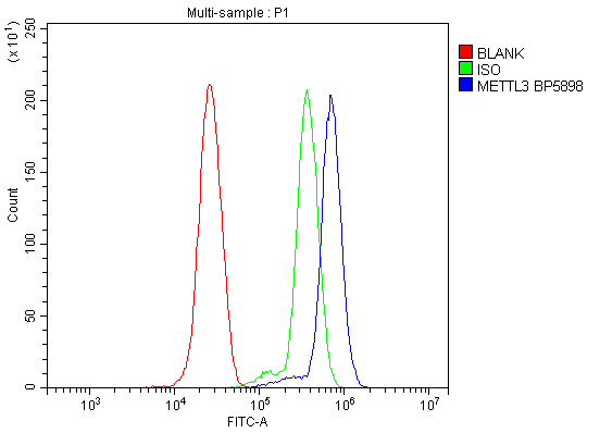 product-image-AAA19248_FCM6.png