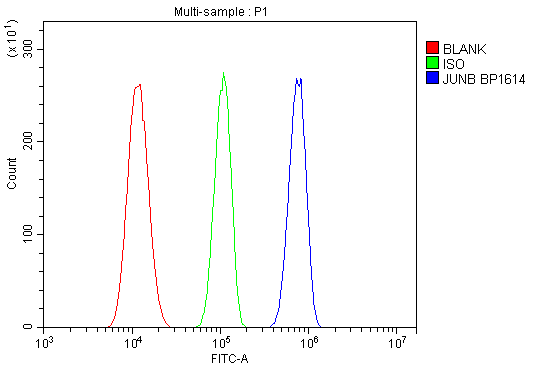 product-image-AAA19249_FCM7.png