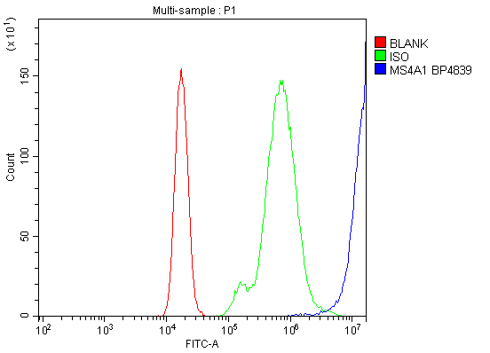product-image-AAA19281_FCM9.png